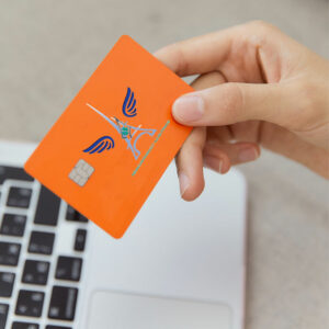 Paiement unitaire Solde pilote